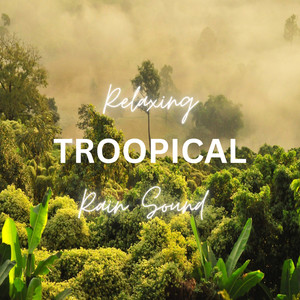 Relaxing Tropical Rain Sound