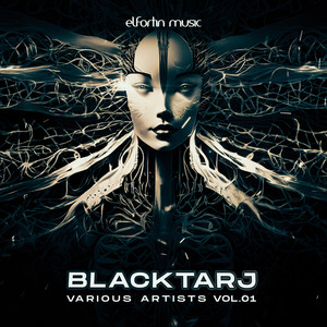 Call To The Stranger (Original Mix)