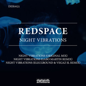 Night Vibrations (ELECGROUND & VegaZ SL Remix)