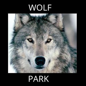 WOLF PARK (feat. D.I.P) [Explicit]