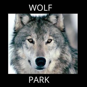 WOLF PARK (feat. D.I.P) (Explicit)