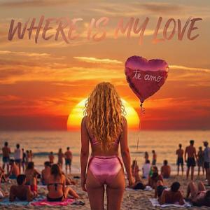 Where Is My Love (Radio Edit)