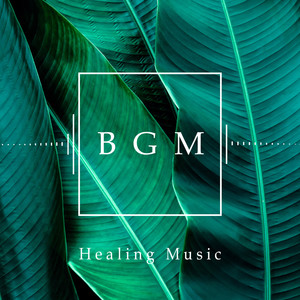 自律神经调节．白噪音BGM (Healing Music)