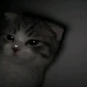 Higher Than Your Granny (feat. NoIAmJacob) (Explicit)