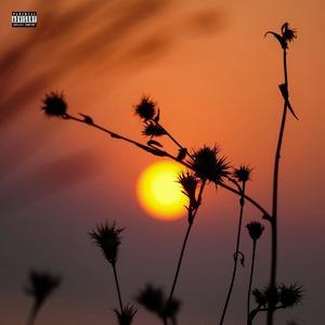 Would You (feat. Rodeiro)