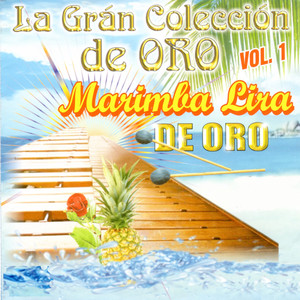 La Gran Coleccion De Oro Vol 5