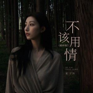 不该用情 (破碎版)封面