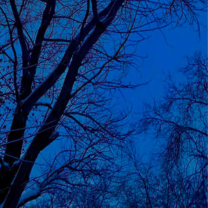 Forever in My Mind (Explicit)