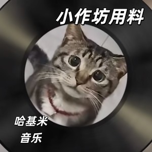 可恶的哈基米