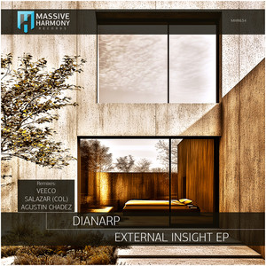 External Insight (SALAZAR|COL|Remix)