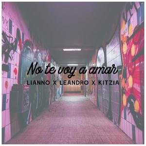 No Te Voy A Amar