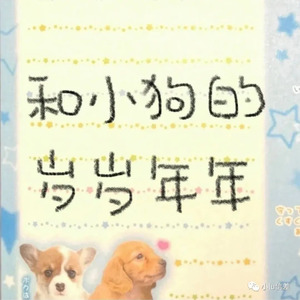 今天你要嫁给我