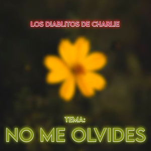 No Me Olvides