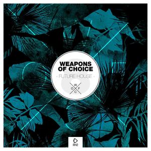 Weapons of Choice - Future House #9