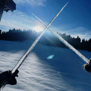 月亮代表我的心-鹿豆纱