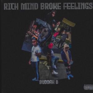 Rich Mind Broke Feelings (Explicit)