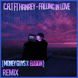 Falling in Love (Remix)