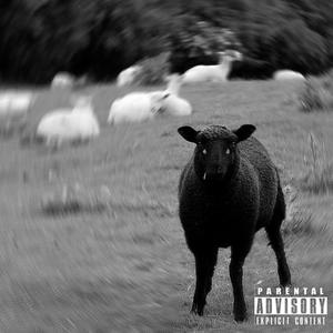 Black Sheep's First Iteration (Explicit)