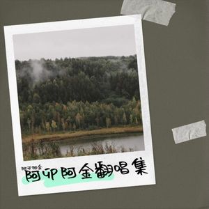 锦绣苗岭阿卯歌曲