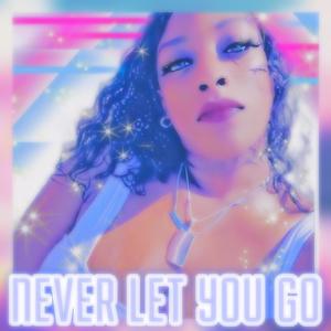 NEVER LET YOU GO