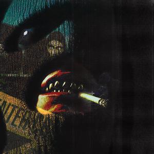 fiorina161 (Explicit)