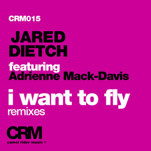I Want to Fly (dBerrie Remix)
