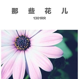 那些花儿