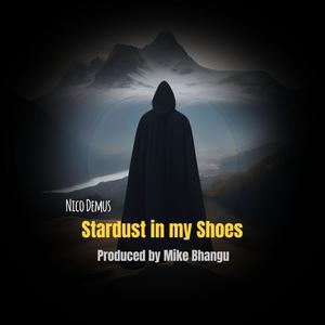 Stardust in my Shoes (feat. Mike Bhangu)