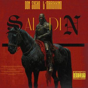 SALADIN (Explicit)