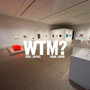 WTM? (feat. ZayKel) (Explicit)