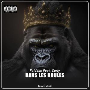 Dans les boules (feat. Curly) [Explicit]