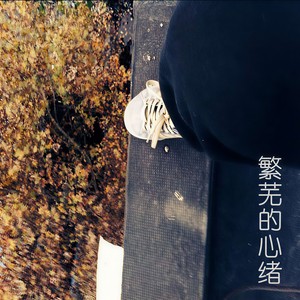 繁芜的心绪