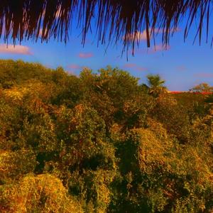 KISS THE COOK (feat. GSSO)