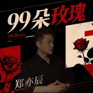 99朵玫瑰