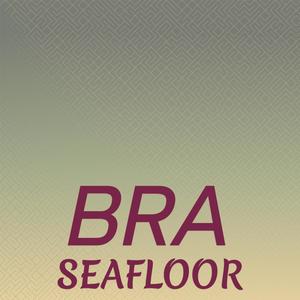 Bra Seafloor