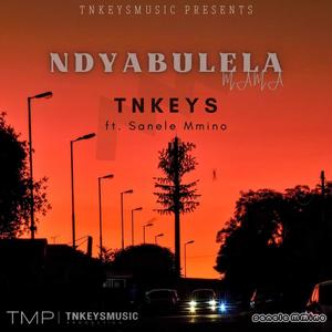 Ndyabulela Mama (feat. Sanele Mmino)