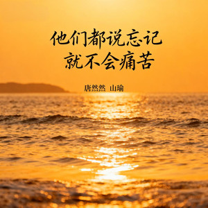 他们都说忘记就不会痛苦