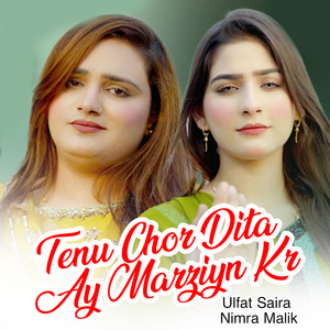 Tenu Chor Dita Ay Marziyn Kr