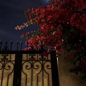 pure (feat. prodriki & pk1mp)