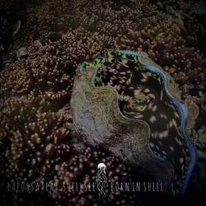 Born in Shell (Extended Mix)