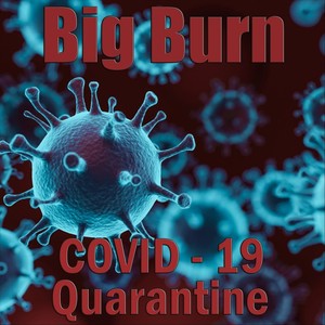 COVID-19 Quarantine (Explicit)