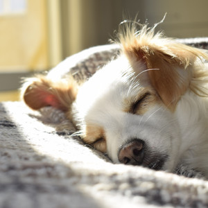 Sleep