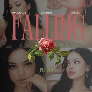 Falling (perpboys) (feat. Shawn Cal, Don Rye & Dreigo) [Explicit]