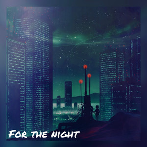 For the Night (Explicit)