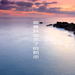 你是我忘不了的初恋