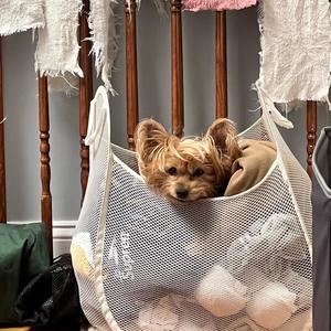 In My Head (feat. Lilmarkglobal & KING TAZ)