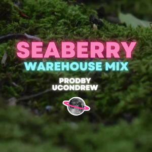 SEABERRY (feat. UCONDREW) [DEEPSEA WAREHOUSE MIX]