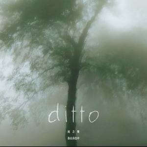 ditto (纯音乐)封面