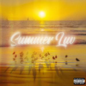 Summer Luv (feat. wadee) [Explicit]