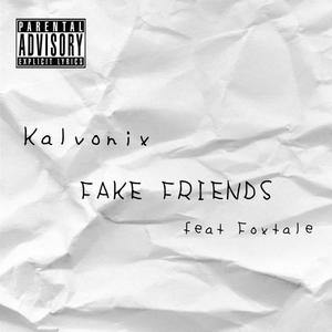 Fake Friends(feat. Foxtale) (Explicit)